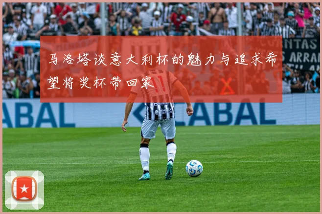 马洛塔谈意大利杯的魅力与追求希望将奖杯带回家